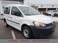 Volkswagen Caddy Kasten/Kombi 4Motion *STHZ*AHK*1/HAND* Weiß - thumbnail 3