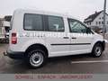 Volkswagen Caddy Kasten/Kombi 4Motion *STHZ*AHK*1/HAND* Weiß - thumbnail 26
