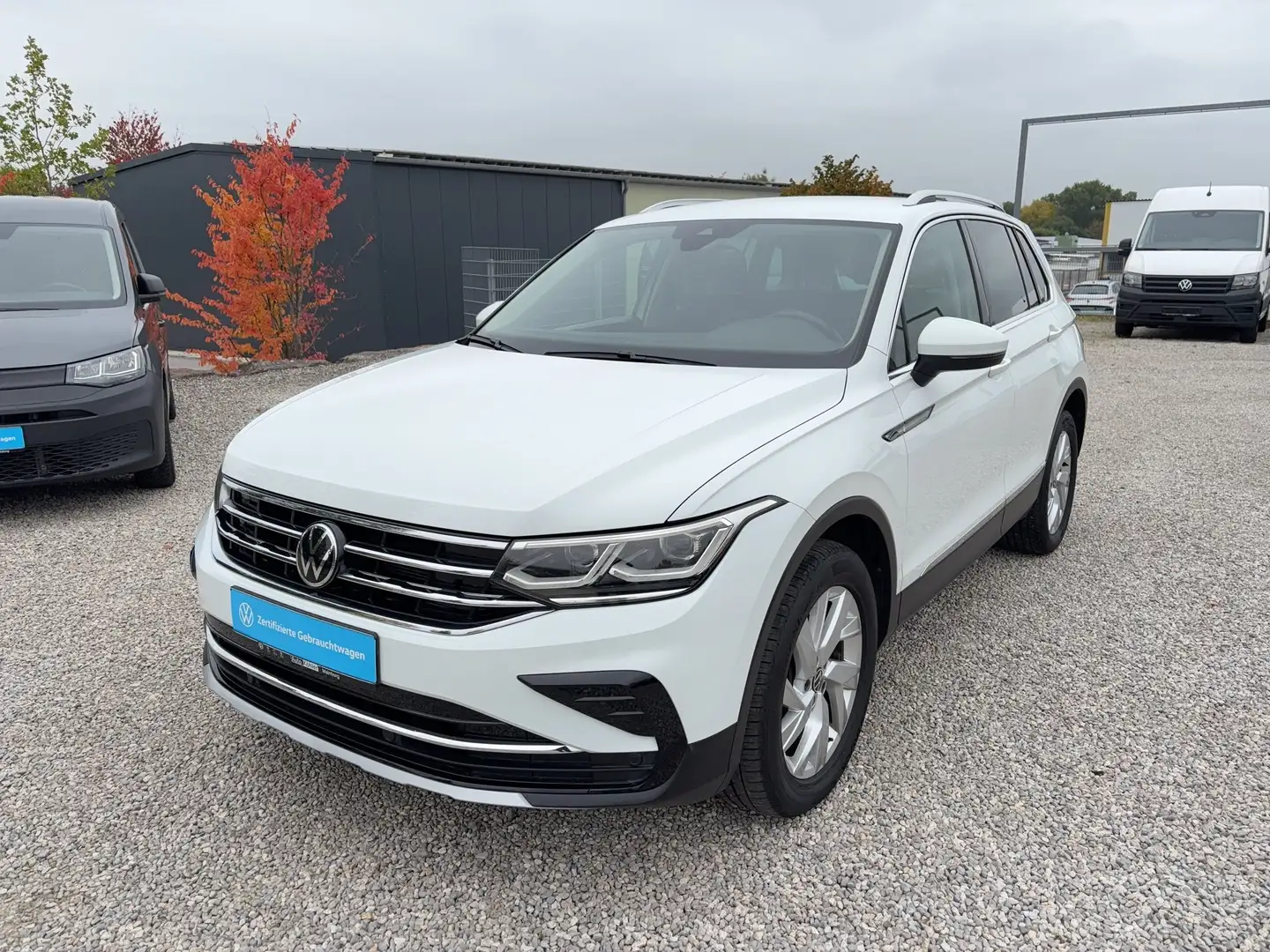 Volkswagen Tiguan Elegance TDi 4M Matrix+AHK+Standheizung Weiß - 2