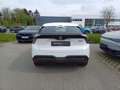 MG MG4 Electric Standard 51 kWh Blanc - thumbnail 7