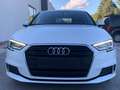 Audi A3 A3 Sportback 30 1.5 g-tron Bianco - thumbnail 14