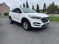 Hyundai TUCSON Tucson 1.7 CRDi 141 2WD DCT-7 Business Weiß - thumbnail 3