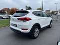 Hyundai TUCSON Business Blanc - thumbnail 4