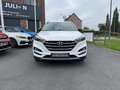 Hyundai TUCSON Business Blanc - thumbnail 2