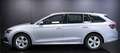 Skoda Octavia Wagon 2.0 tdi DSG Executive 116cv Argento - thumbnail 12