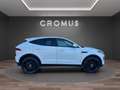 Jaguar E-Pace 2.0d i4 S awd 180cv auto my19 - thumbnail 1