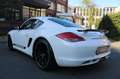 Porsche Cayman R PDK Sport-Chrono/Klappe/Bi-Xenon/PDC Fehér - thumbnail 3