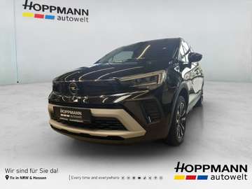 Elegance *SHZG*LHZG*PDC*