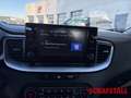 Kia Ceed SW / cee'd SW FACELIFT Plug-In Hybrid AHK Carplay Temomat Kamera Weiß - thumbnail 12