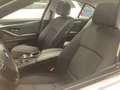 BMW 520 520 d Efficient Dynamics Edition Bi-Xenon, Navi Gris - thumbnail 22