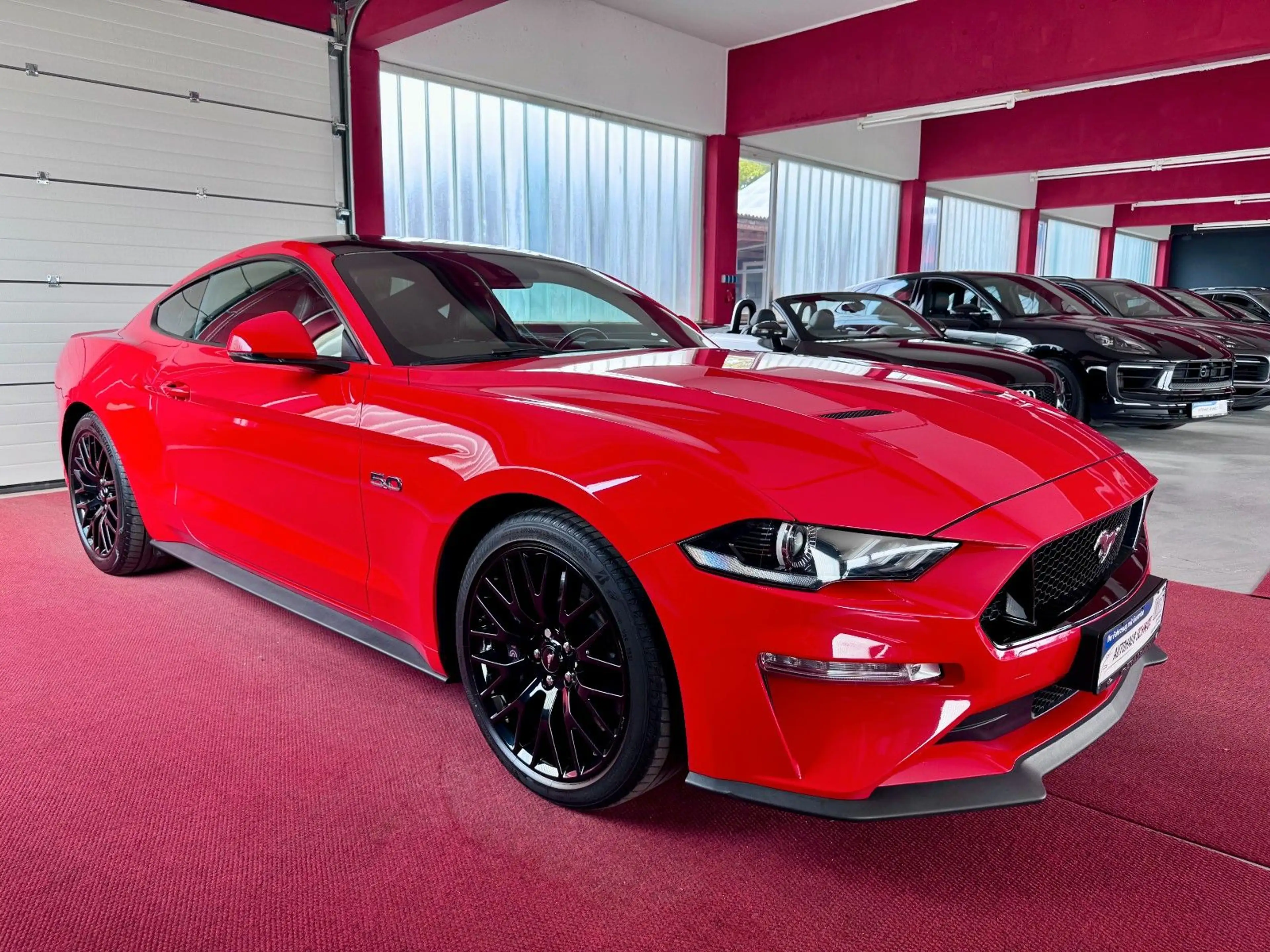 Ford Mustang GT Fastback 1Hand Deutsch ACC Performanc — photo 2