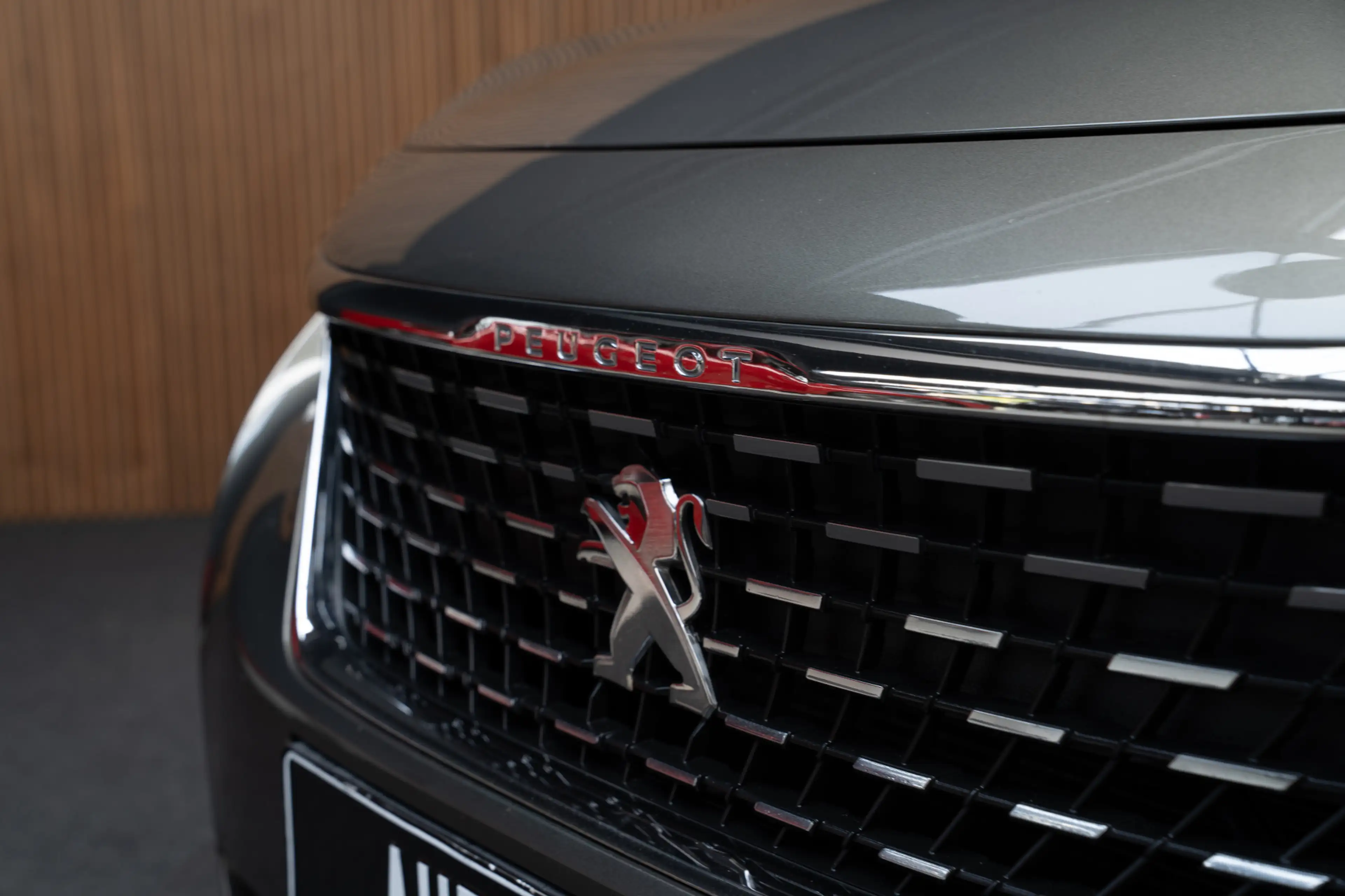 Peugeot 3008 1.6 e Panodak Navi Camera Memory Leder Climate con — photo 11