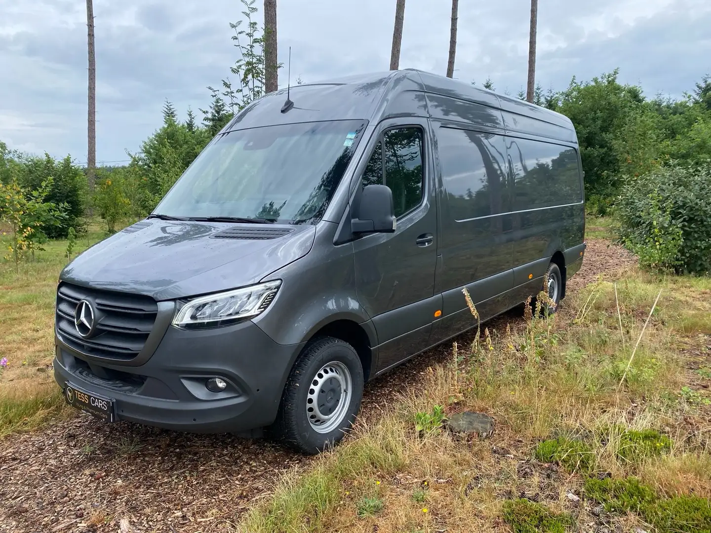 Mercedes-Benz Sprinter 315 CDI Sprinter Extralang HA 9G-TRONIC - 1