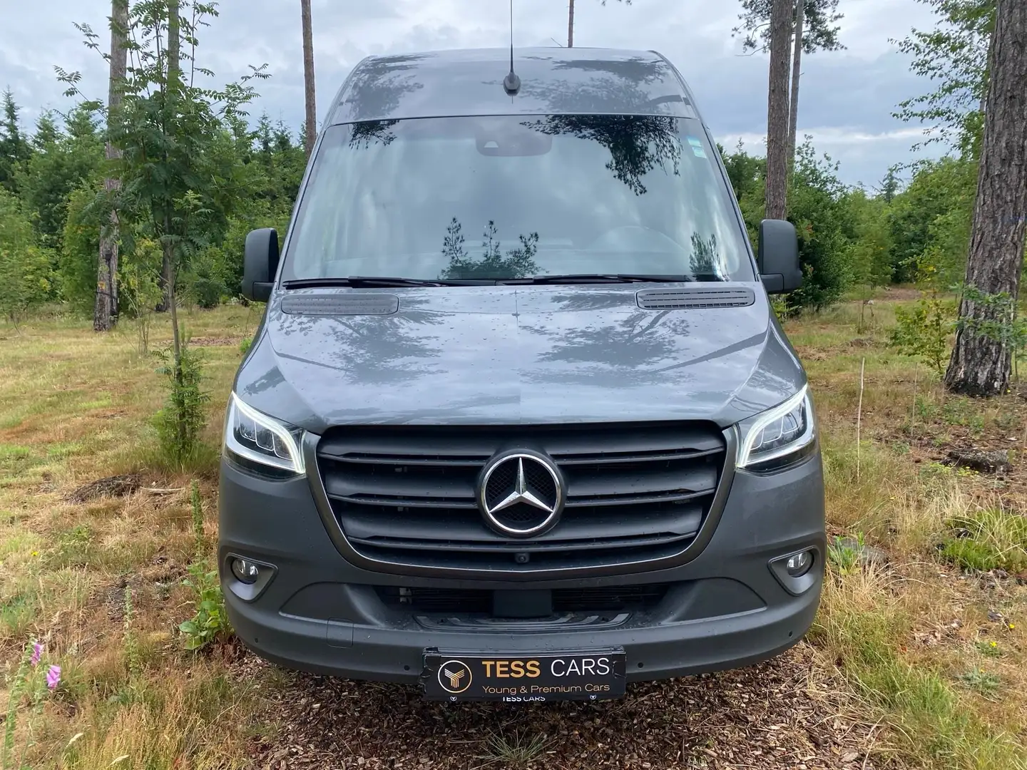 Mercedes-Benz Sprinter 315 CDI Sprinter Extralang HA 9G-TRONIC - 2