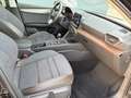 SEAT Leon Xcellence*Top Zustand*1.Hand*SH gepfl.*Top Austtat Negro - thumbnail 10