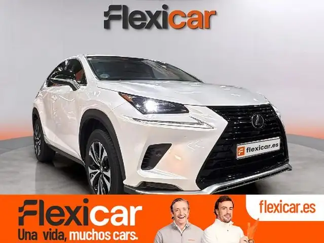 Lexus NX 300 300h Business 2WD
