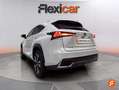 Lexus NX 300 300h Business 2WD Blanco - thumbnail 5