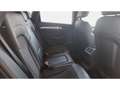 Audi SQ5 Quattro 3.0 V6 BiTDI 326 BVA - ENTRETIEN AUDI / REGULATEUR ADAPTATIF Noir - thumbnail 15