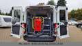 Ford Transit Kombi 350 L3 Trend R-Lift Weiß - thumbnail 32
