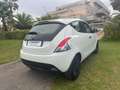Lancia Ypsilon Ypsilon III 2015 1.2 Elefantino Blu s Bianco - thumbnail 4
