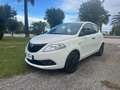 Lancia Ypsilon Ypsilon III 2015 1.2 Elefantino Blu s Bianco - thumbnail 2