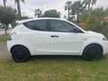 Lancia Ypsilon Ypsilon III 2015 1.2 Elefantino Blu s Bianco - thumbnail 8