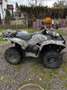 Yamaha Grizzly 700 Yamaha Grizzly 700 WTHC - thumbnail 9
