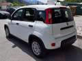 Fiat Panda 1.0 Firefly Hybrid 70cv S&S KM0 2024 - thumbnail 4