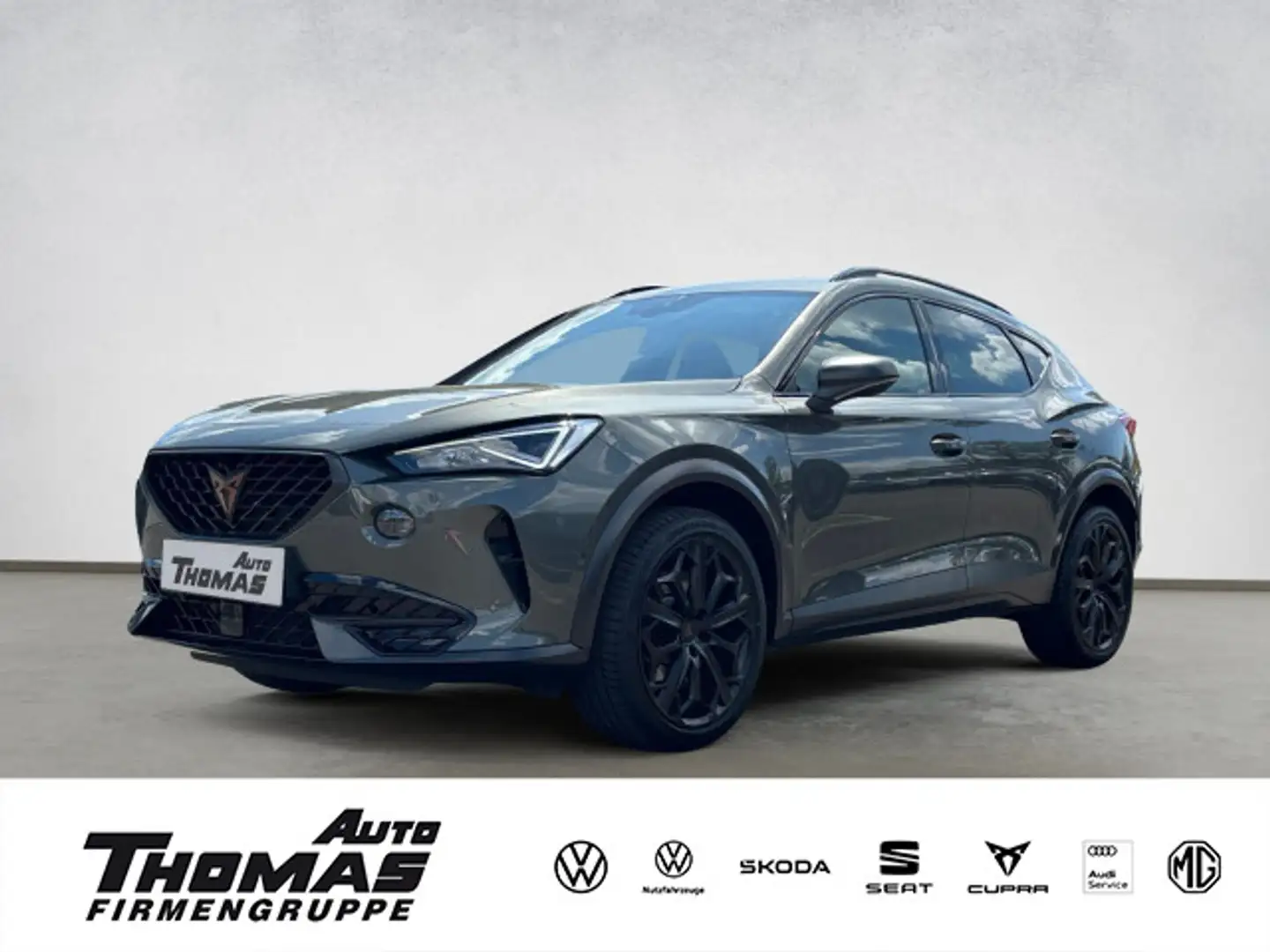 CUPRA Formentor VZ Tribe Edition 2.0TSI DSG 245PS Blau - 1