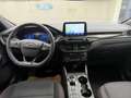 Ford Kuga ST-Line, AHK, Winterpaket, Rückfahrkamera, Navi Weiß - thumbnail 15