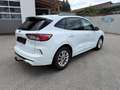 Ford Kuga ST-Line, AHK, Winterpaket, Rückfahrkamera, Navi Weiß - thumbnail 6