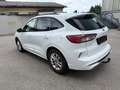 Ford Kuga ST-Line, AHK, Winterpaket, Rückfahrkamera, Navi Weiß - thumbnail 7