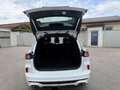Ford Kuga ST-Line, AHK, Winterpaket, Rückfahrkamera, Navi Weiß - thumbnail 11