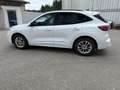 Ford Kuga ST-Line, AHK, Winterpaket, Rückfahrkamera, Navi Weiß - thumbnail 2