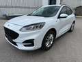 Ford Kuga ST-Line, AHK, Winterpaket, Rückfahrkamera, Navi Weiß - thumbnail 5