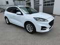 Ford Kuga ST-Line, AHK, Winterpaket, Rückfahrkamera, Navi Weiß - thumbnail 1