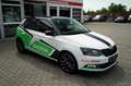Skoda Fabia R5 Automatik ACC Kamera CarPlay Sitzheiz Weiß - thumbnail 3