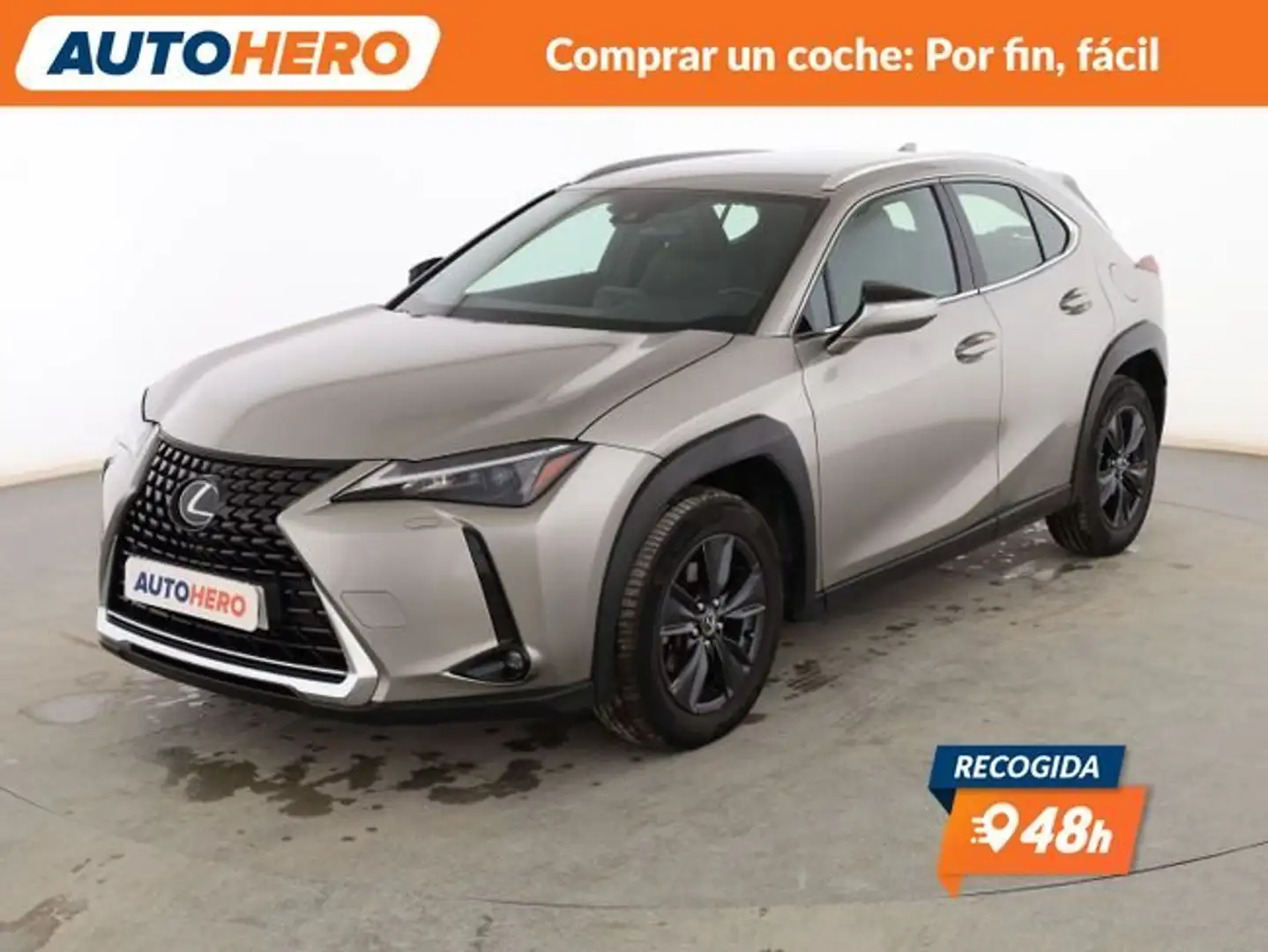 Lexus UX 250h Business Gris - 1