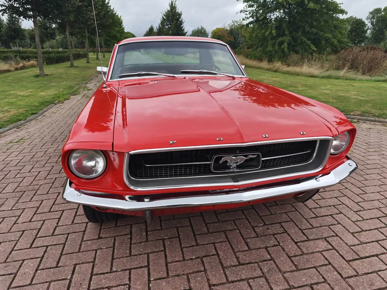 Ford Mustang HARDTOP 289 V8 COUPE A CODE!, foto 3