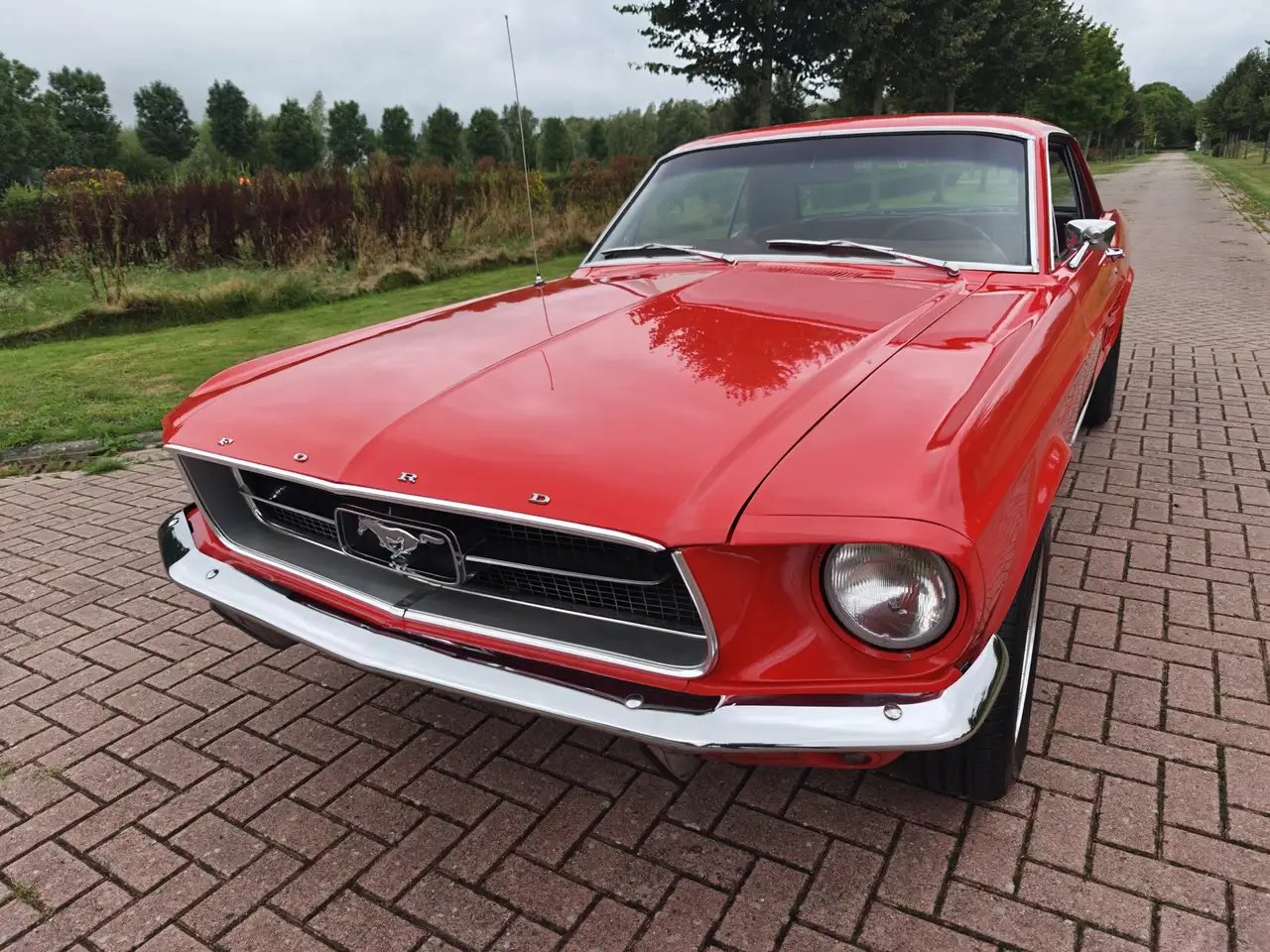 Ford Mustang HARDTOP 289 V8 COUPE A CODE!, foto 5