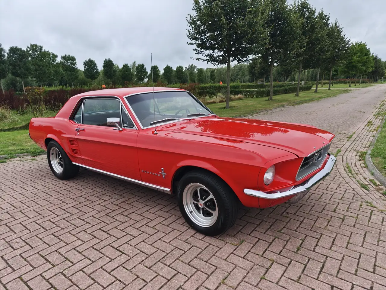 Ford Mustang HARDTOP 289 V8 COUPE A CODE!, foto 11