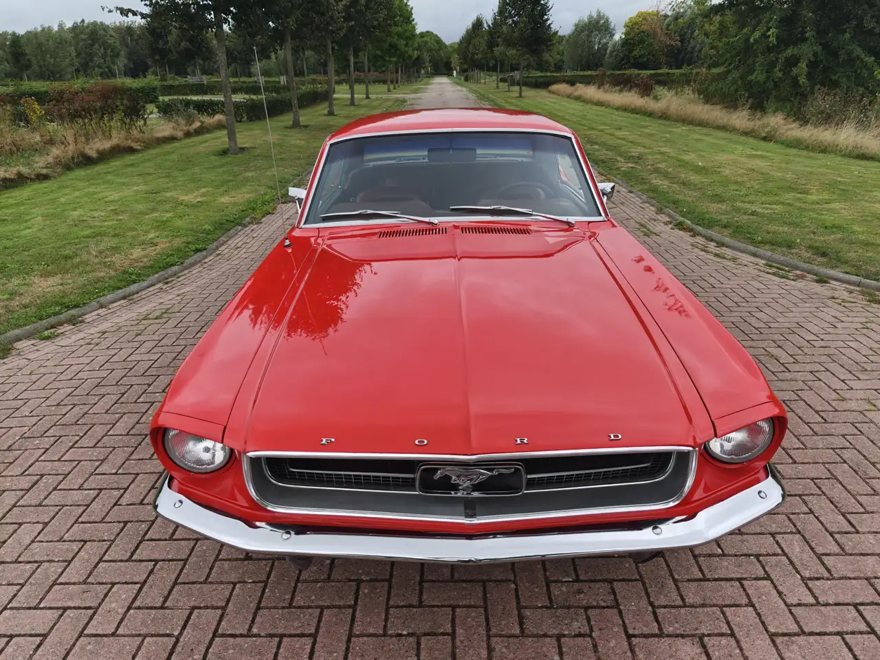 Ford Mustang HARDTOP 289 V8 COUPE A CODE!, foto 4