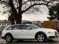 Audi A6 allroad V6 3,0 TDI Quattro, TOP Zustand✅ viele Extras✅ Weiß - thumbnail 11