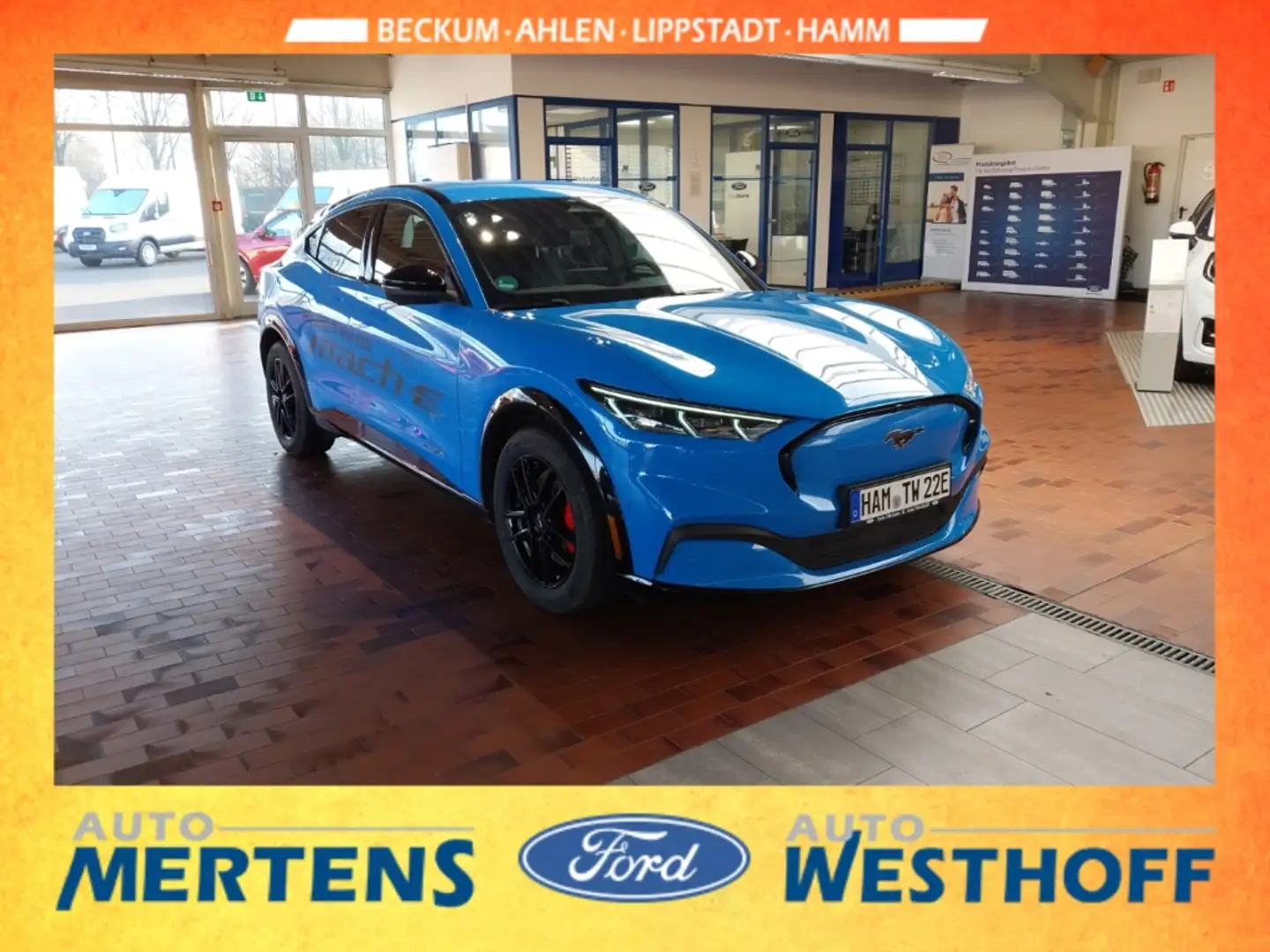 Ford Mustang Mach-E Mach-E AWD 75 kw/h Akku Bleu - 2