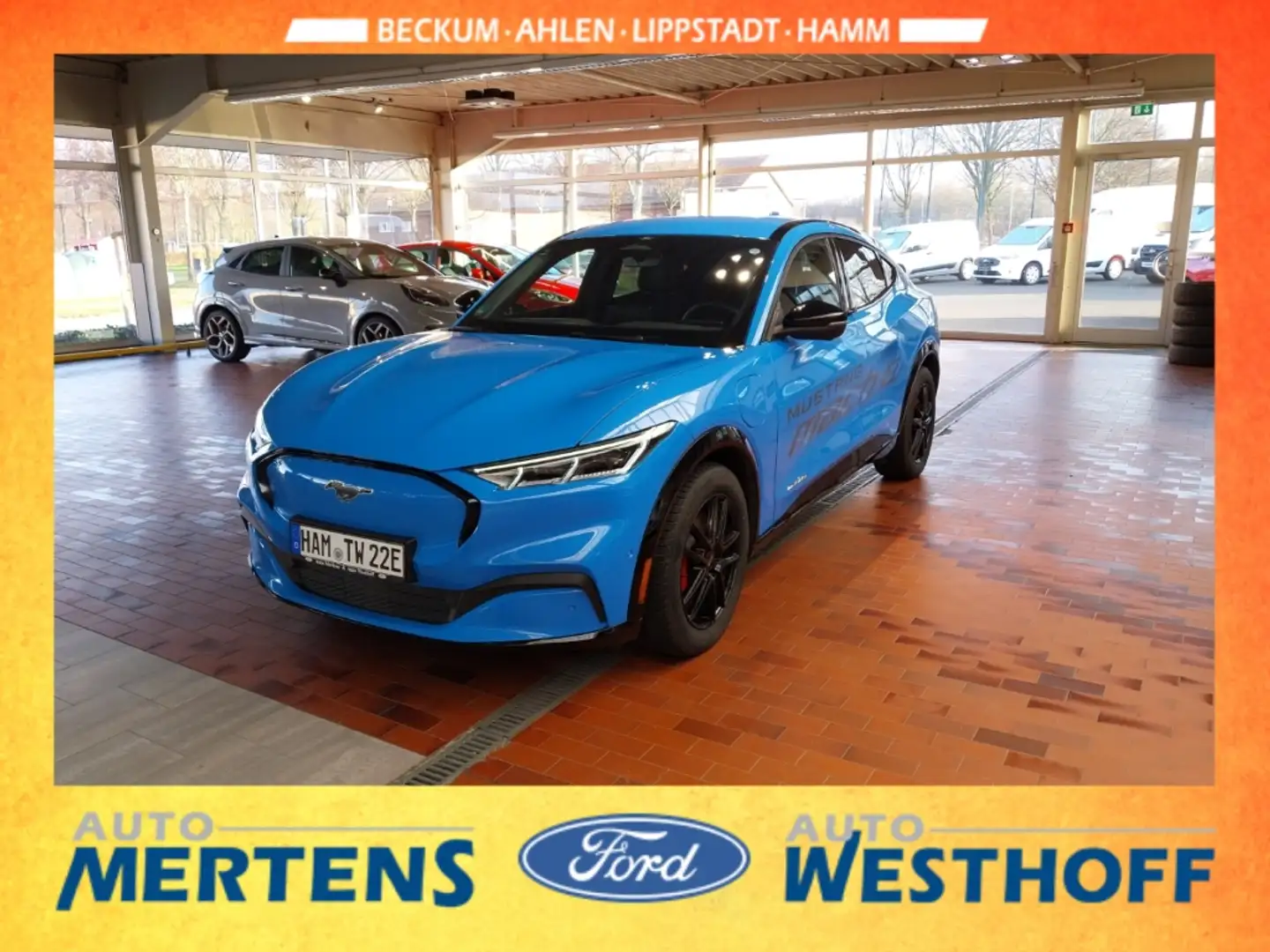 Ford Mustang Mach-E Mach-E AWD 75 kw/h Akku Bleu - 1