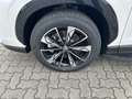 MG HS 1.5 200 kW Luxury Hybrid*Leder*LED*360°Nav*SH Grau - thumbnail 14