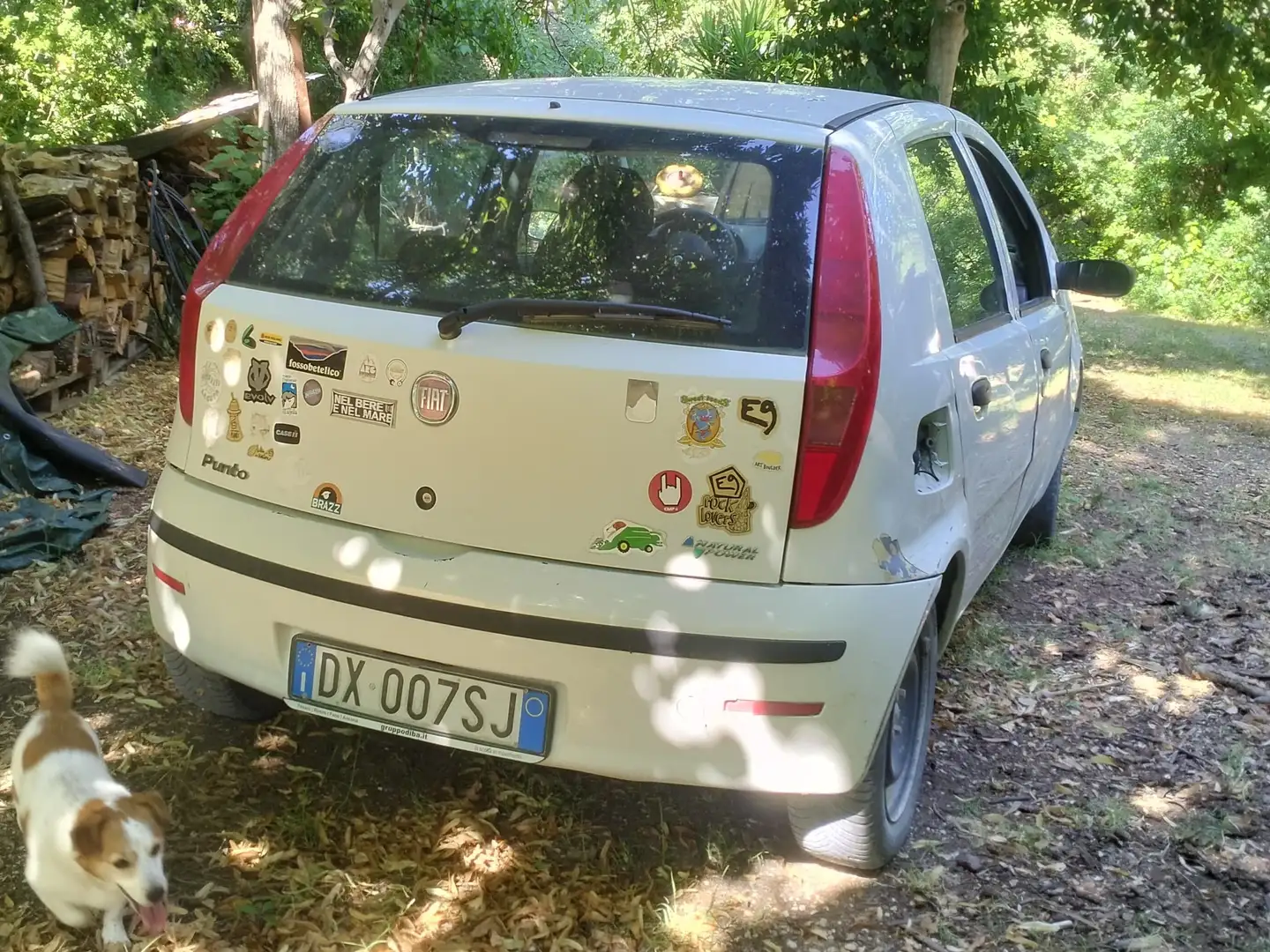 Fiat Punto Punto II 2003 5p 1.2 natural power Classic Blanc - 2