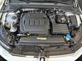 Volkswagen Golf VIII 2.0TDI DSG Life LED/Navi/ACC/App Weiß - thumbnail 22