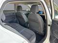 Volkswagen Golf VIII 2.0TDI DSG Life LED/Navi/ACC/App Weiß - thumbnail 16