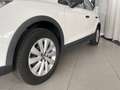SEAT Arona Reference EcoTSI Weiß - thumbnail 5